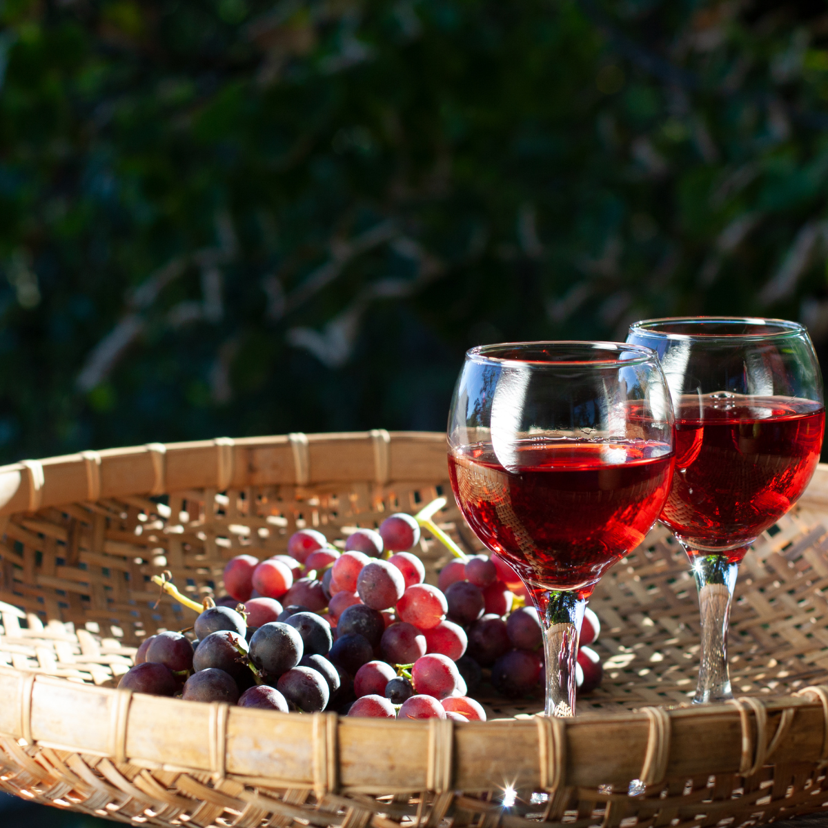 vins de terroir